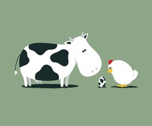 De vacas y gallinas.
