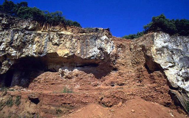 Galería, la carnicería de Atapuerca