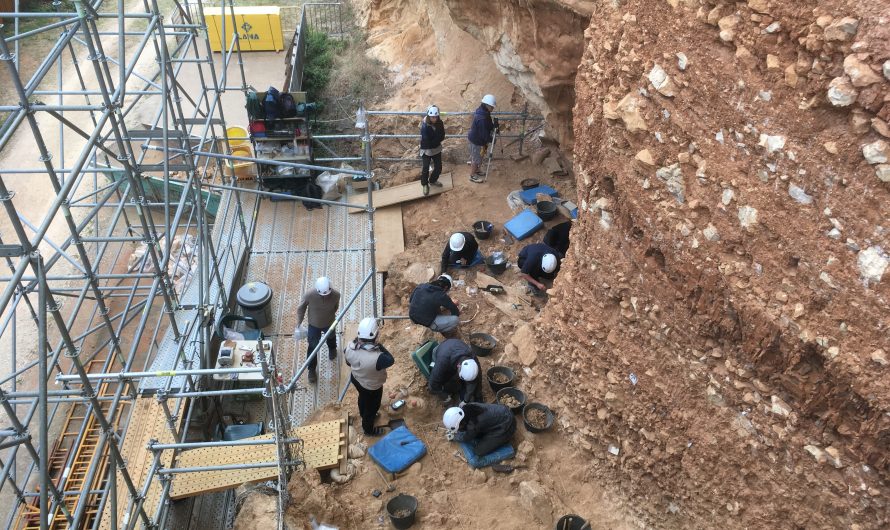 Gran Dolina, una foto del Pleistoceno