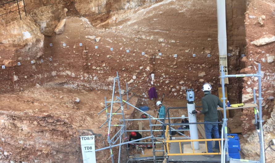 Gran Dolina superior, el quirófano